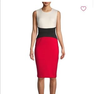 COPY - Calvin Klein color block dress
